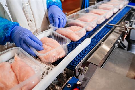 Procesamiento de Alimentos