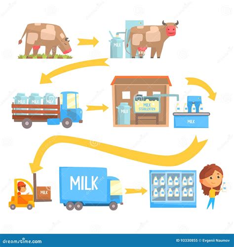 Proceso de Producción