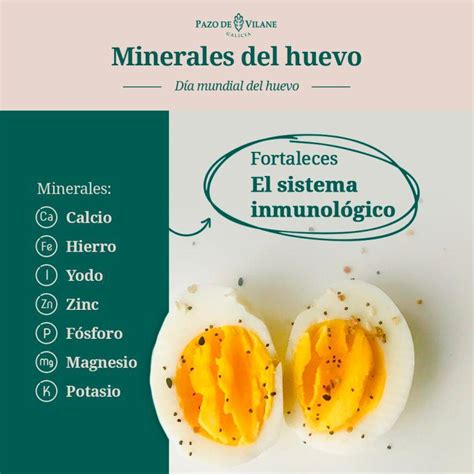 Propiedades nutricionales del huevo