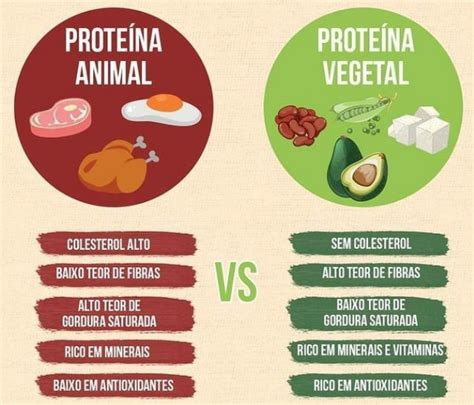 Proteínas animales y vegetales