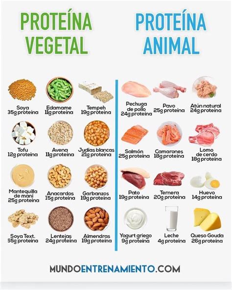 Proteínas de Origen Animal vs. Vegetal