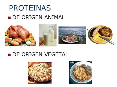 Proteínas de origen animal y vegetal