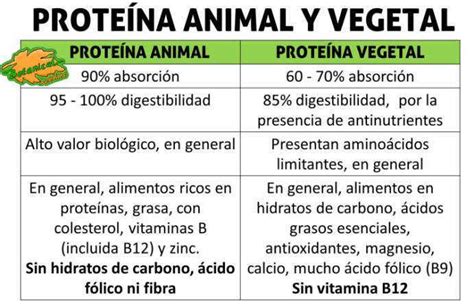 Proteínas vegetales vs proteínas animales