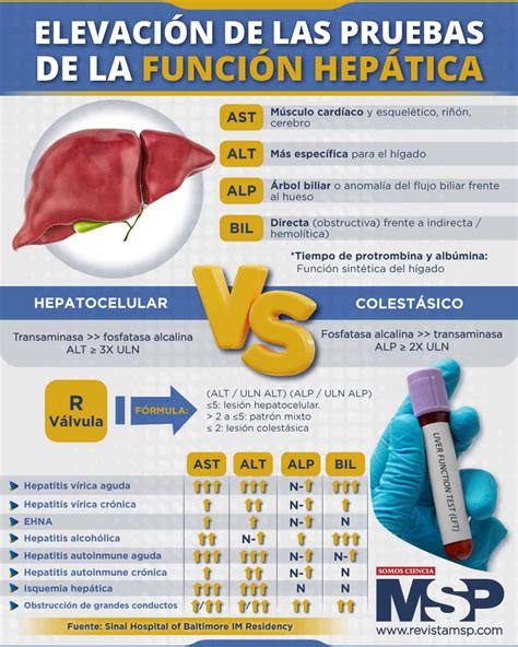 Pruebas de función hepática