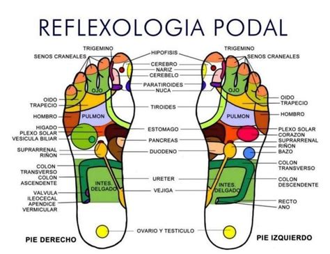 Reflexología podal