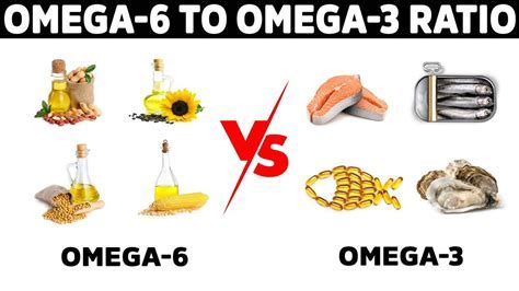 Relación omega-6: omega-3 a lo largo de la historia