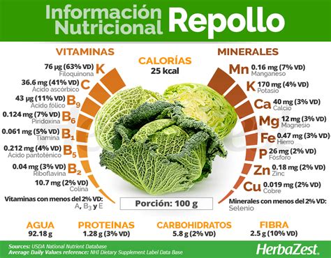 Repollo Blanco Información Nutricional