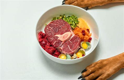 Riesgos de la Dieta BARF