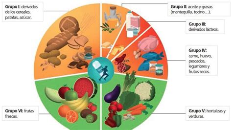 Rueda de Nutrición Infantil