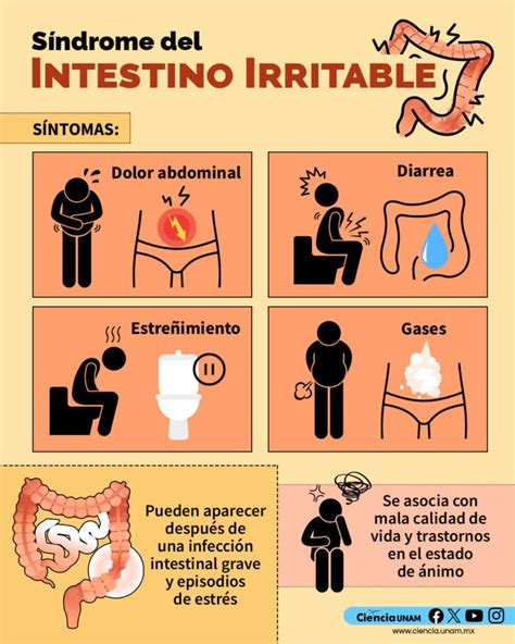 Síntomas del SII