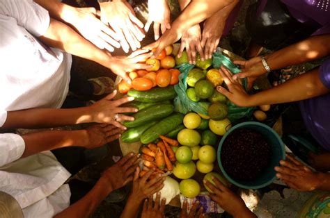 Seguridad alimentaria