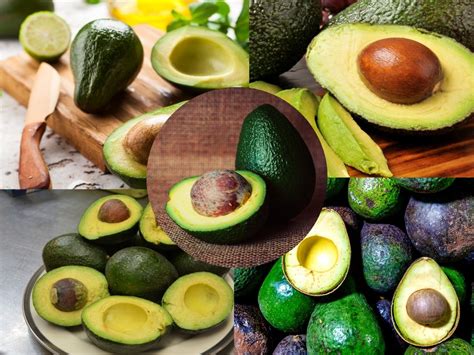 Selección de la palta