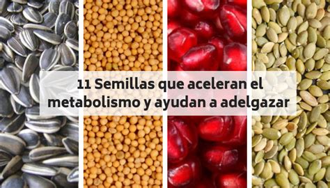 Semillas para adelgazar