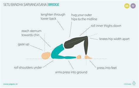 Setu Bandha Sarvangasana