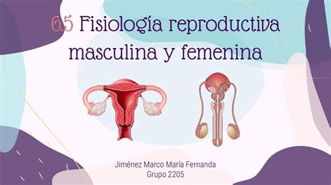 Sexualidad femenina y masculina