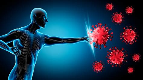 Sistema Inmunológico