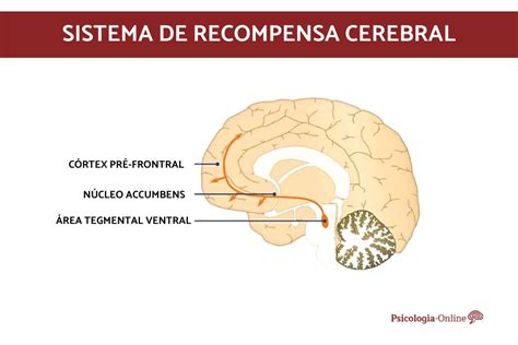 Sistema de recompensa cerebral