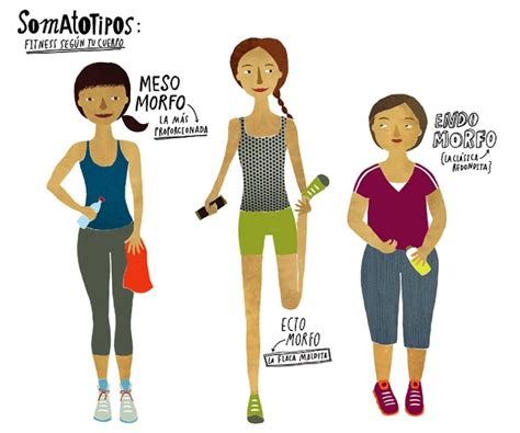 Somatotipos
