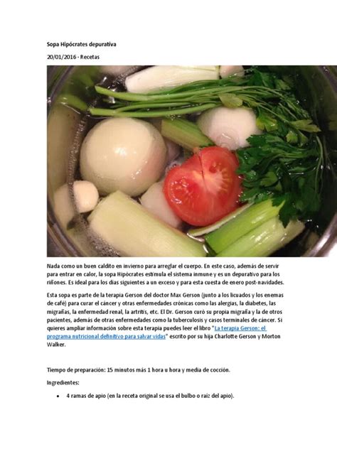 Sopa Hipócrates