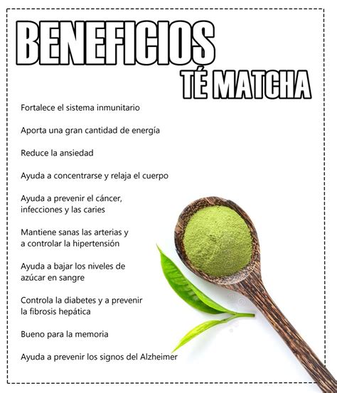Té Matcha Beneficios