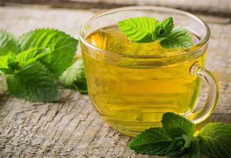 Té de Menta