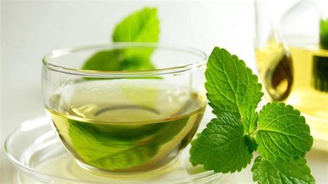 Té de menta