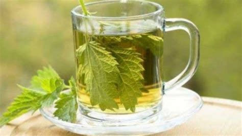 Té de perejil