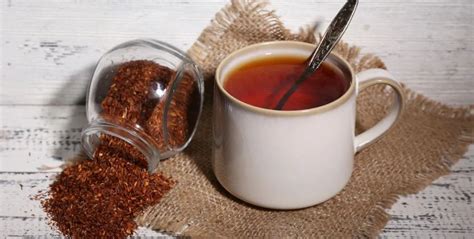 Té de rooibos