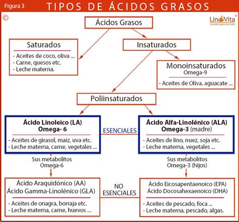 Tabla 2: Porcentajes de ácidos grasos en Cajanus cajan crudo y germinado