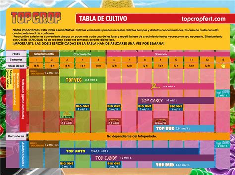Tabla Top Crop