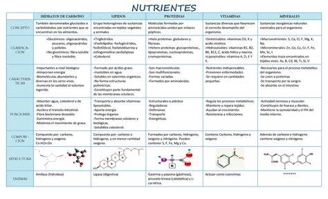 Tabla comparativa de nutrientes en diferentes tipos de sopas