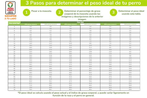 Tabla de peso ideal para perros