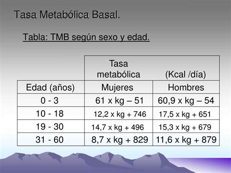 Tasa Metabólica Basal