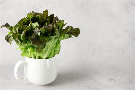 Taza de lechuga fresca