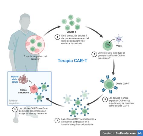 Terapia Celular CAR-T