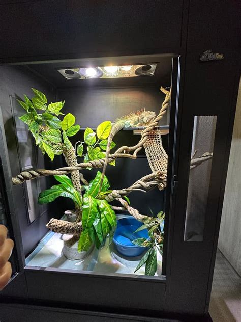 Terrario para iguana con iluminación y calefacción