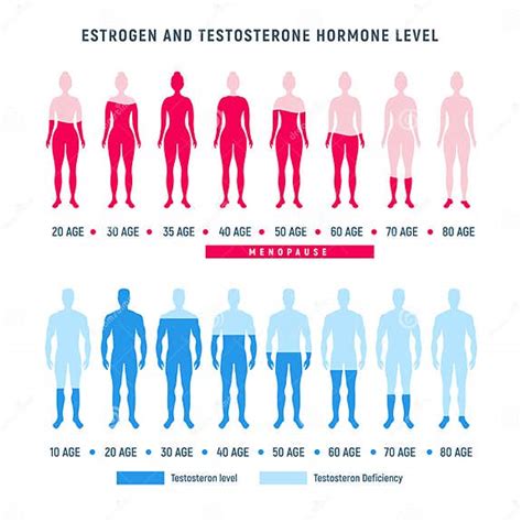 Testosterona y Edad