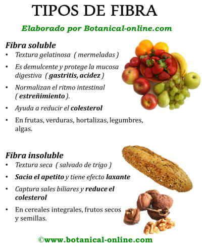 Tipos de Fibra