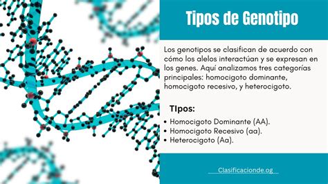 Tipos de Genotipo