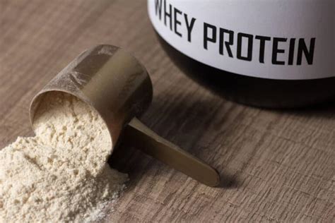 Tipos de Proteína Whey