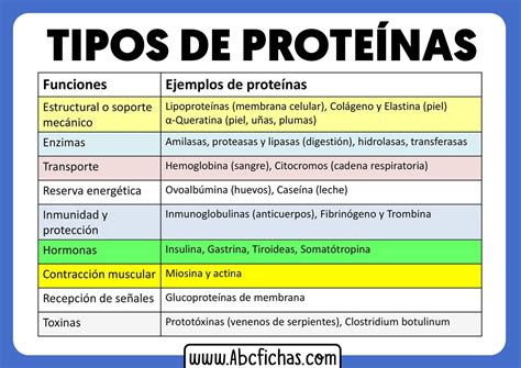 Tipos de Proteínas