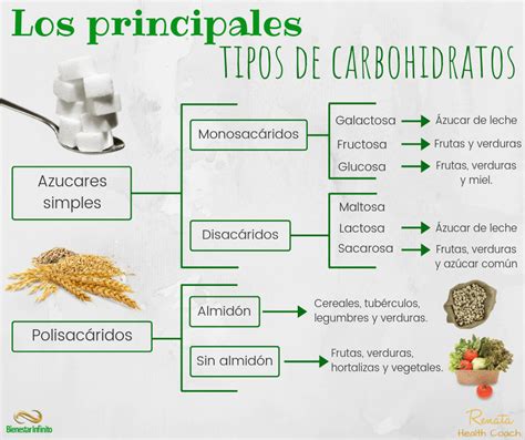 Tipos de carbohidratos