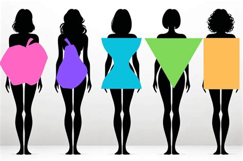 Tipos de cuerpo