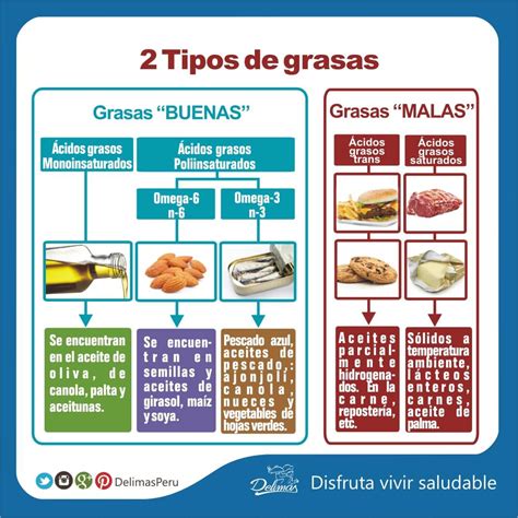 Tipos de grasas
