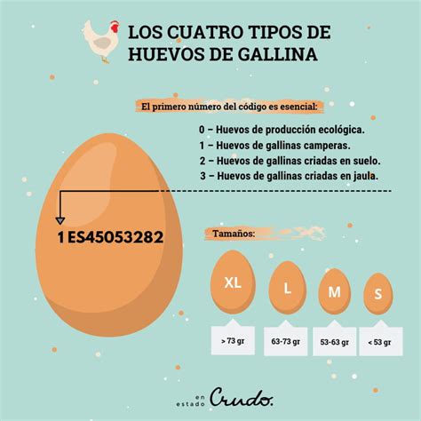 Tipos de huevos y sus características