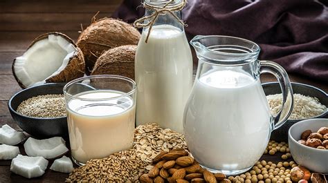 Tipos de leche vegetal