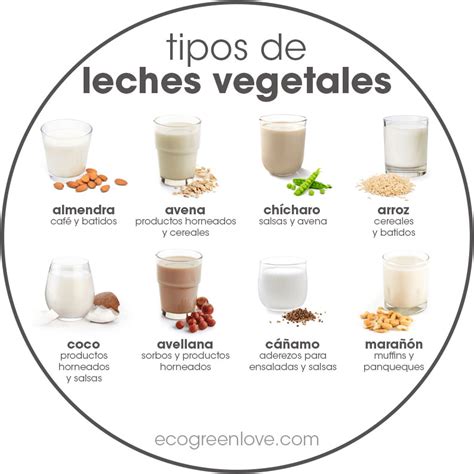 Tipos de leches vegetales