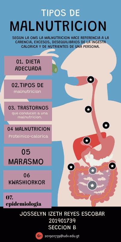 Tipos de malnutrición