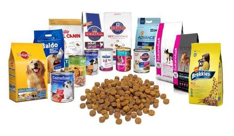 Tipos de pienso para perros