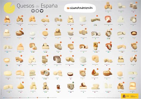 Tipos de queso y su contenido nutricional